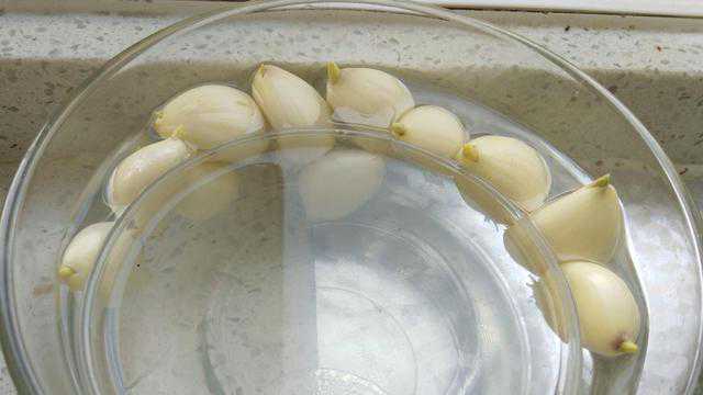 大蒜发芽不好吃“仅需三步”大蒜变蒜苗，观赏漂亮，还超好吃