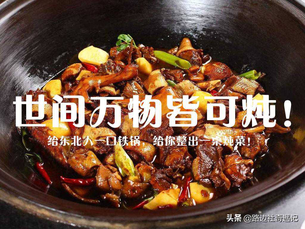 世间万物皆可炖！给东北人口铁锅，创造一桌炖菜，荤素美食齐全