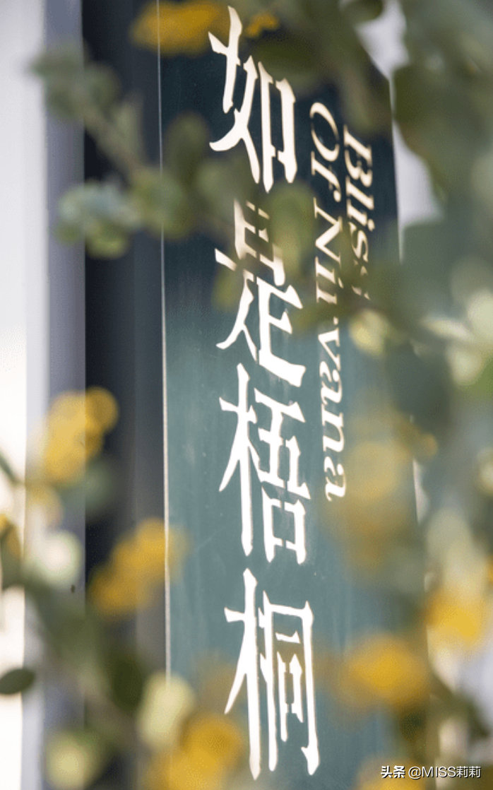 如果一顿不吃肉  我想我会疯