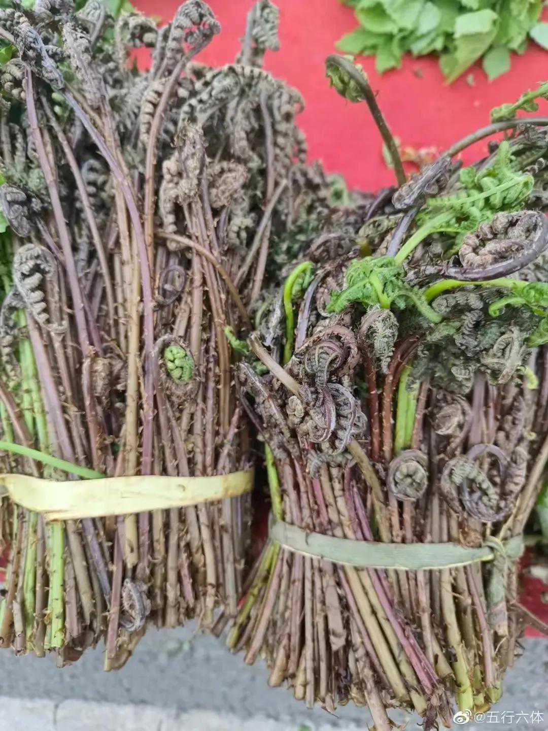 禅味山野菜