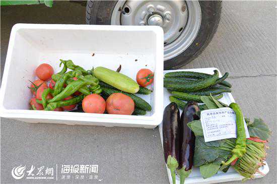一箱菜48元！淄博高新区这些社区不出门就能买到平价菜