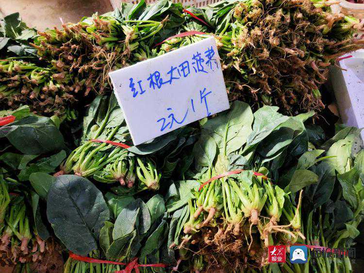 菠菜2元/斤、茼蒿3元/斤，青岛菜价又降了！猪肉价格略有上涨