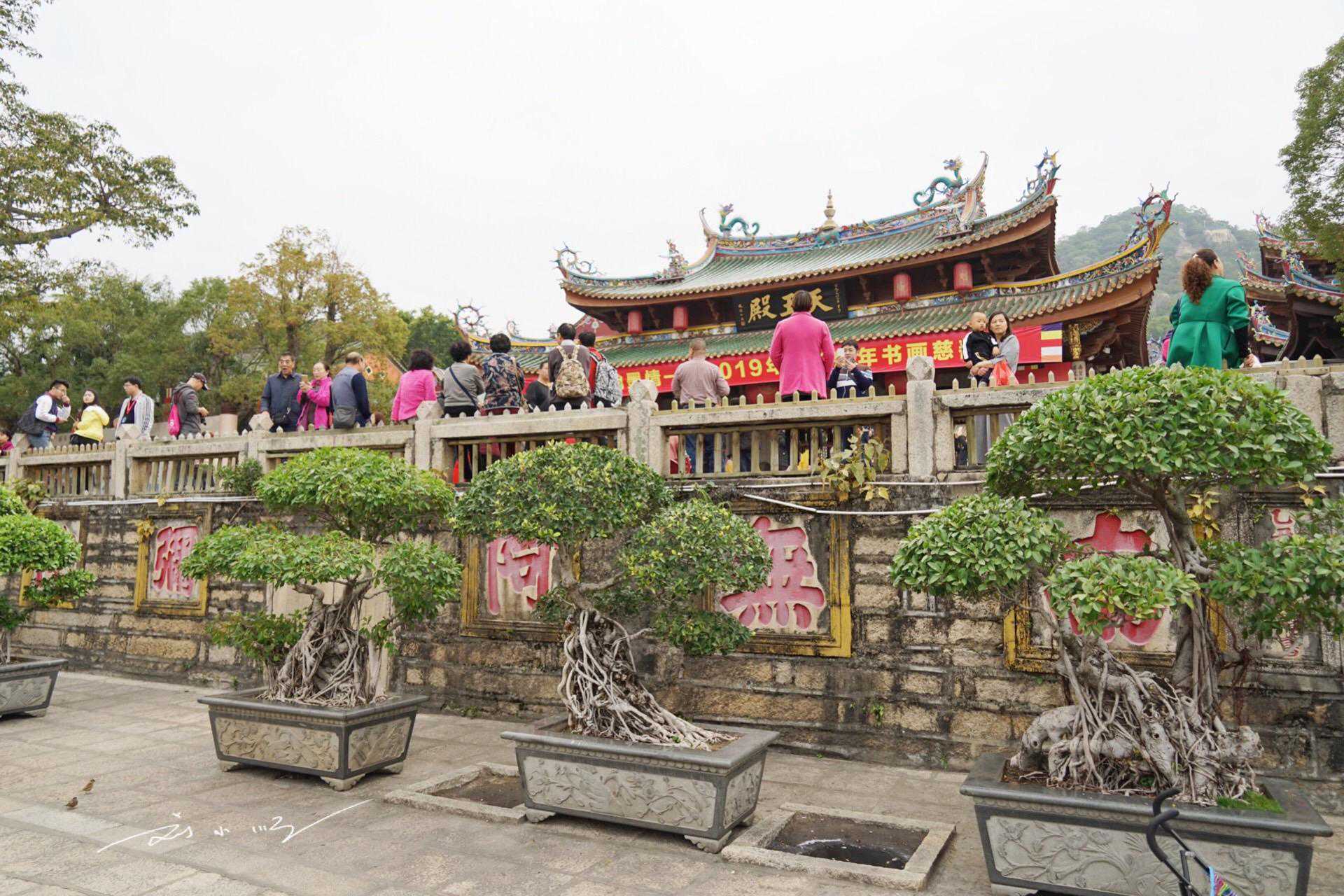 外地游客实拍厦门南普陀寺素菜馆，装修简单，菜名好听，饮料太贵