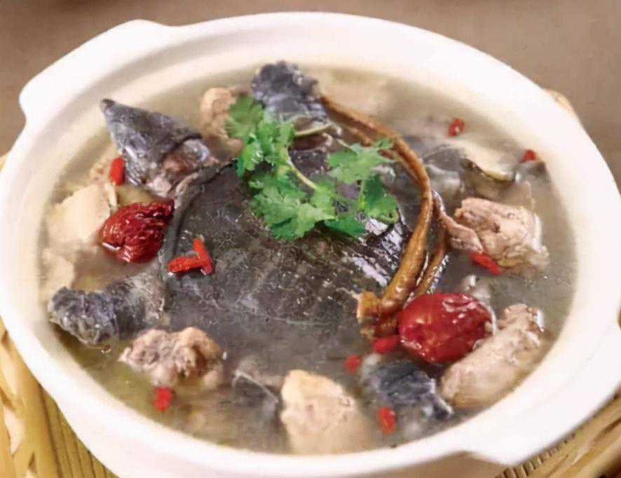 蔡澜世界名菜谱：龟汤Turtle Soup