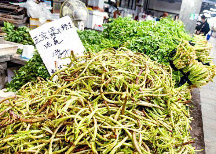 江河湖畔野菜香 不要随便挖呀挖专家提醒不知名的野菜最好不采食