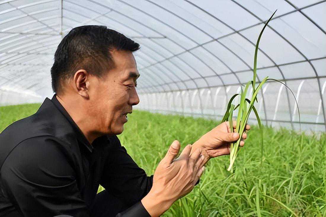 航天蔬菜豇豆长1米​茄子重3斤，河南农民菜种子游太空12天，赚钱快
