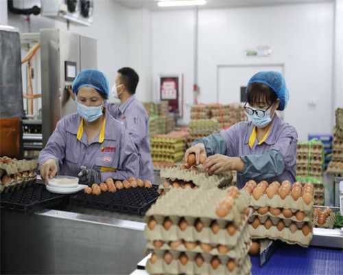 含乳饮料能不能当牛奶喝？